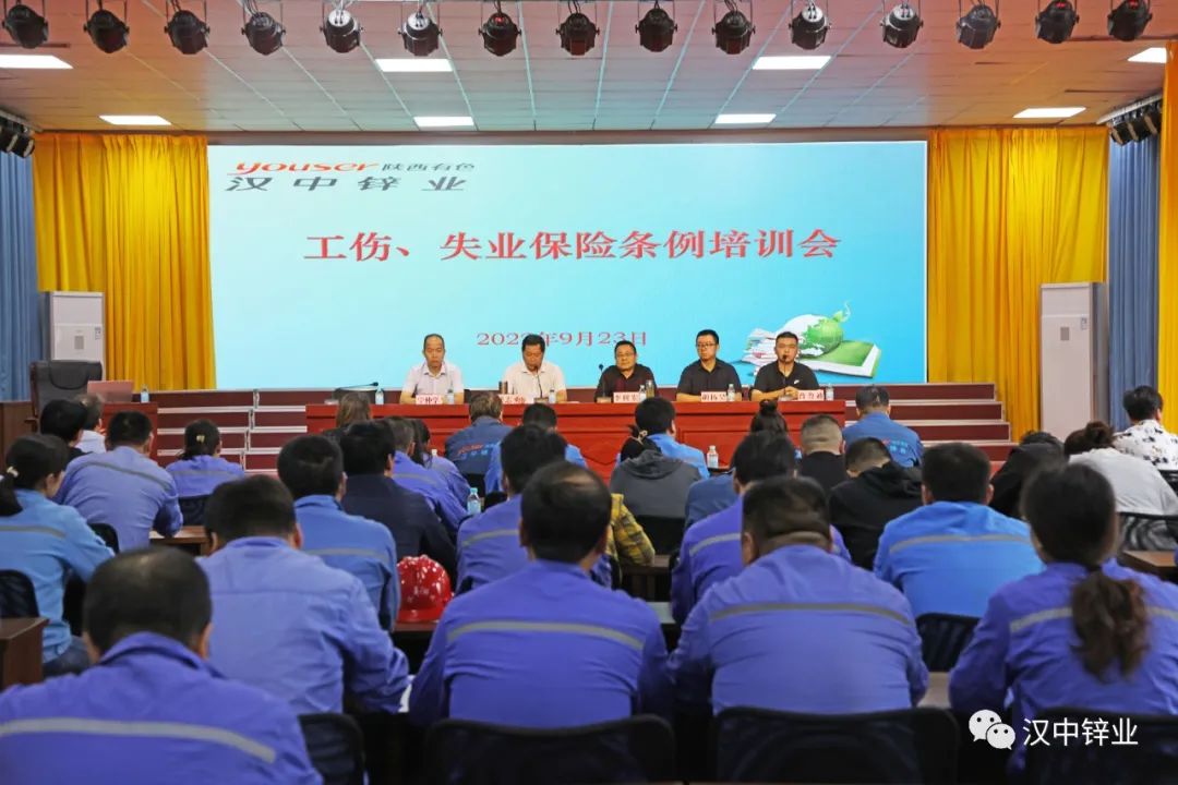 1664497996220820.jpg 1.jpg