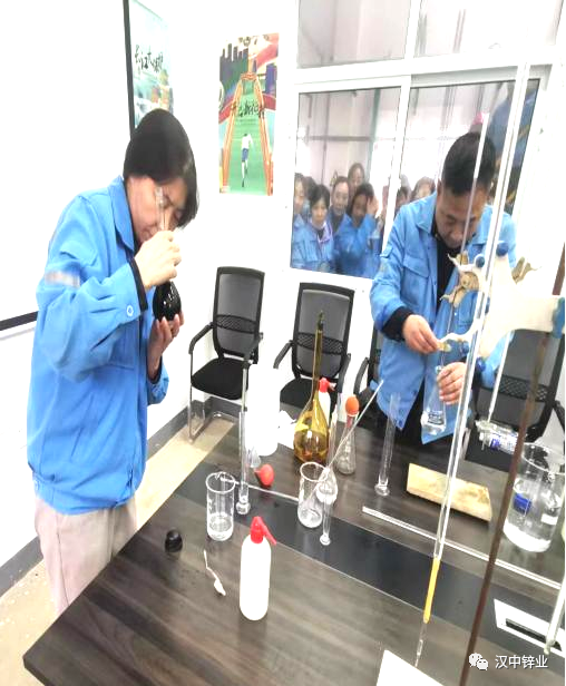 1668990750743571.png 01.png