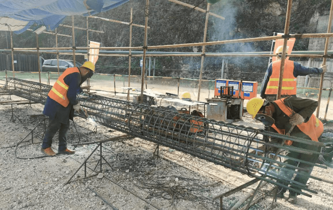 1678417632998218.png 113_new.png